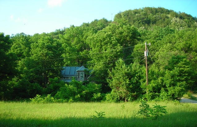 house nestled in trees green leaves green grass